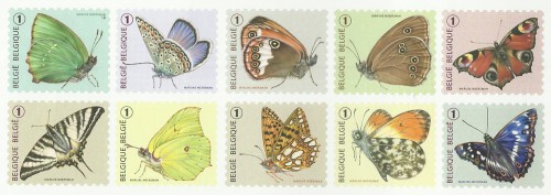 butterflies