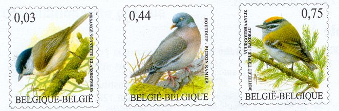 buzin-birds-stamps[1]