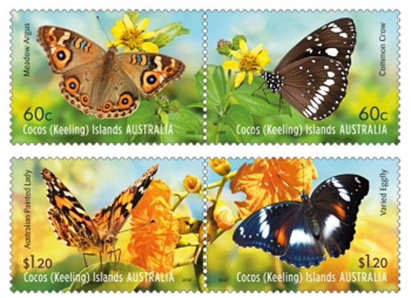 cocos-keeling-butterflies