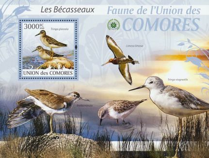 com200976[1]