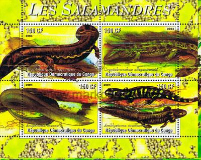 Newly discovered chytrid fungus devastates salamander populations