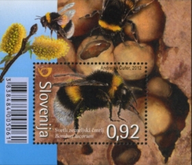 contentimage_19737_280_0[1]