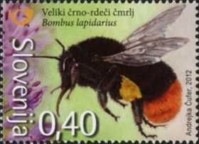 contentimage_19742_280_0[1]