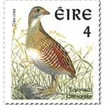corncrake4-150x1501[1]