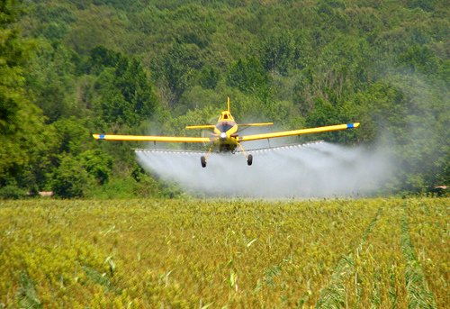 crop-duster2[1]