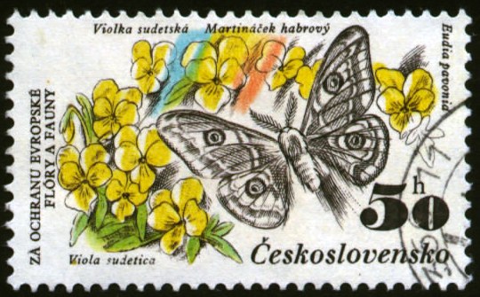 czechoslovakia-21[1]