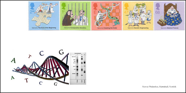 dna[1]
