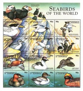 dom9814co-seabirds[1]