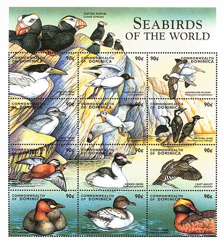 dom9814co-seabirds[1]
