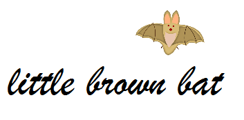 draft_lens18387418module152644381photo_1314142094Little_Brown_Bat_in_Cursi[1]