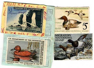 duck_stamp_6[1]