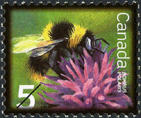 e008304159[1]