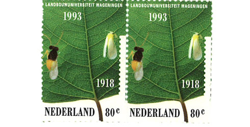 Henk Tennekes en Theo Brock spraken op uitnodiging van Frank Berendse op 11 december 2012 in Wageningen over de risico’s van neonicotinoiden