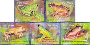 The World’s Most Endangered Frogs