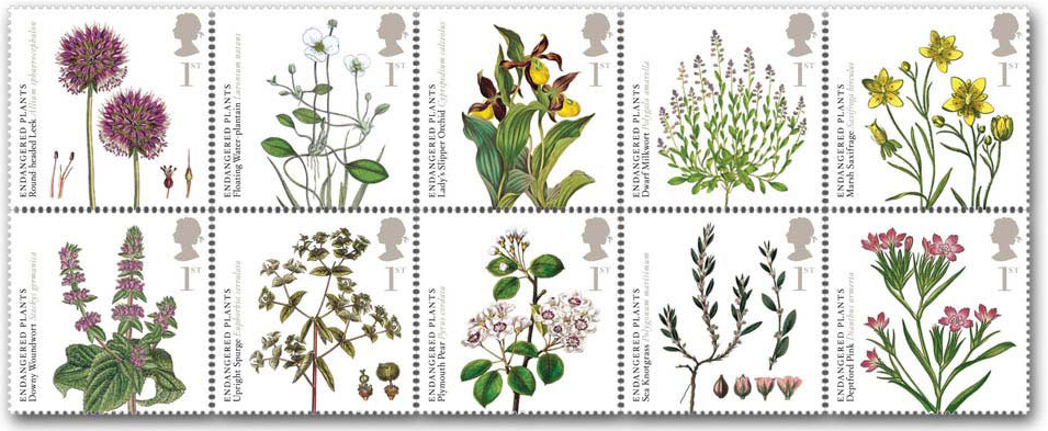 endangered_plants