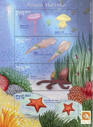 fauna marinha[1]
