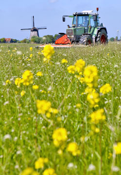 fcda3894-d9bd-4297-a6c0-46e68345584c_Agrosector-Nederland-249[1]