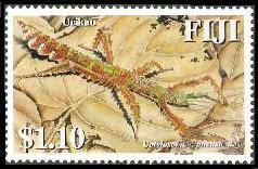 fiji42[1]