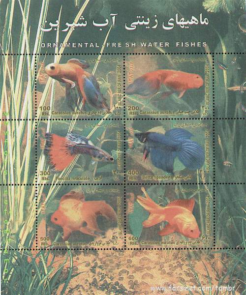 fish_freshwater[1]