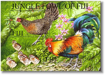 fji0104co-jungle-fowl[1]
