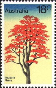 flame_tree_stamp