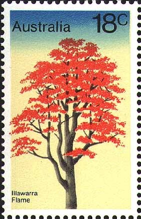 flame_tree_stamp