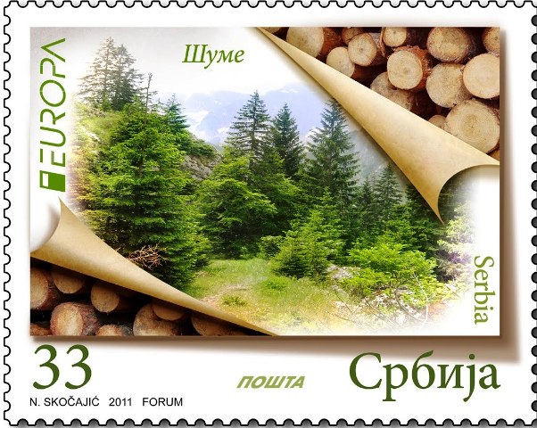 forest 1[1]