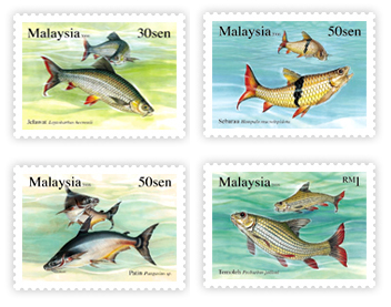 Freshwater species have suffered a 76 per cent decline since 1970, an average loss almost double that of land and marine species