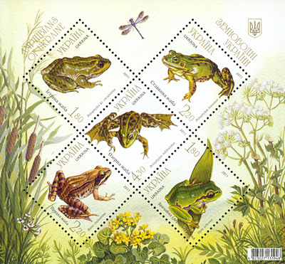 Kröten, Frösche, Molche kämpfen ums Überleben. Von den weltweit 6280 Amphibienarten sind knapp ein Drittel – rund 1890 – gefährdet