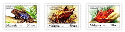 frogs_malaysia[1]