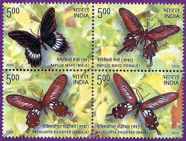 g94095_scan0018599[1]