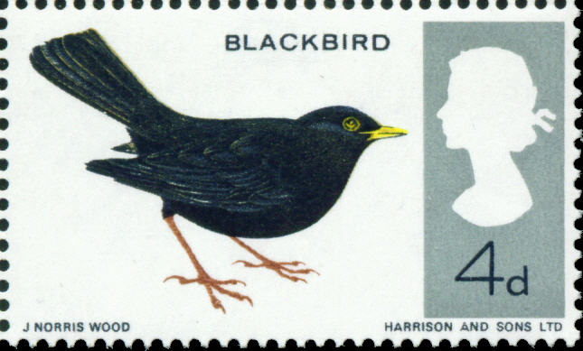 gb-1966-sg699-4d-blackbird-vfu-30485-p[1]