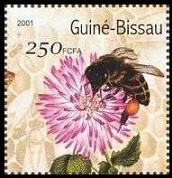 gbisau02[1]