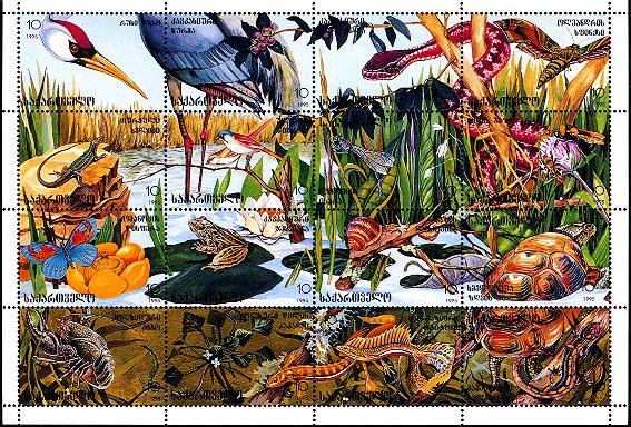 Onrustwekkende achteruitgang van flora en fauna in Europa