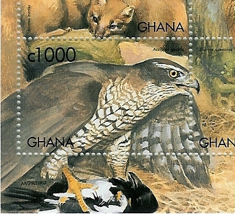 ghana-1