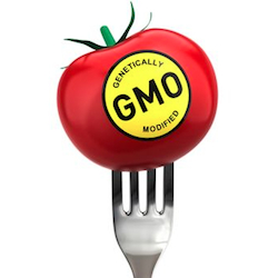 gmo-tomato-skew[1]