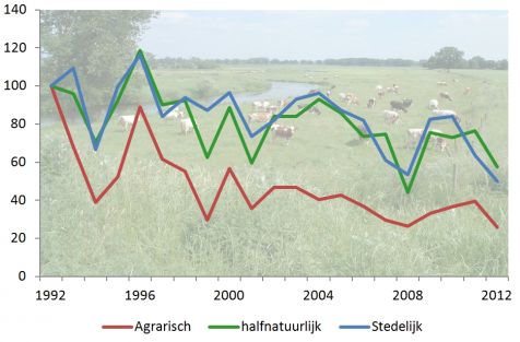 grafiek_graslandsoorten_agr_sted_hn