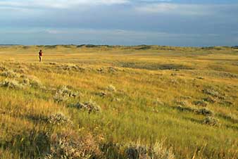 grasslands[1]