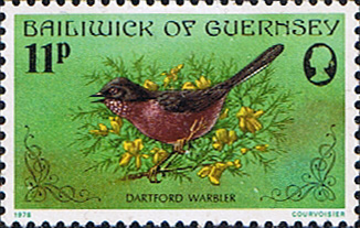 guernsey-1978-birds-sg-171-dartford-warbler-fine-mint-24133-p[1]