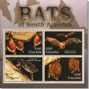 guy0421sh-bats4safrica[1]