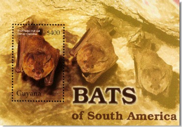 guy0421ss-cave-bats[1]