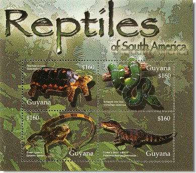 guy0505sh-sam4reptile[1]