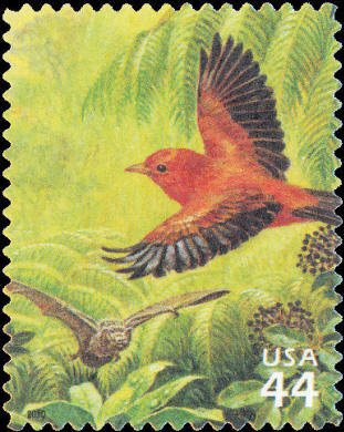 Pesticide use threatens rare Hawaiian species