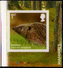 hegdehog_3088[1]