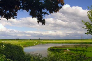 hollands-landschap[1]