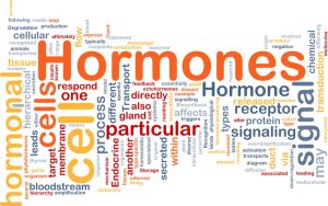 hormone-replacement-boca-raton-fl