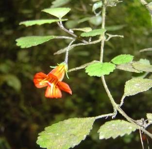 image002[1]