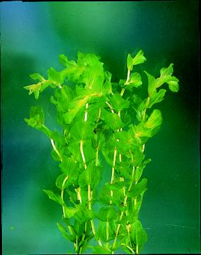 image003[1]