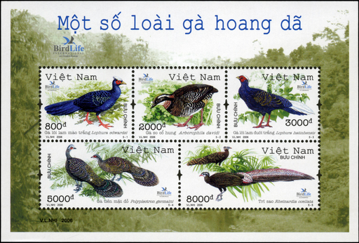 image[4][1]