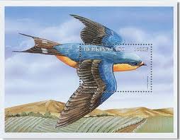 images[11]
